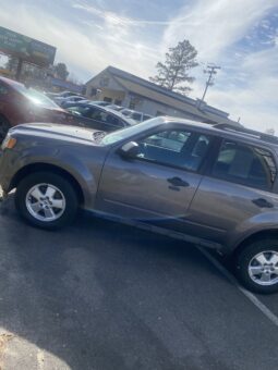 2010 Ford Escape full